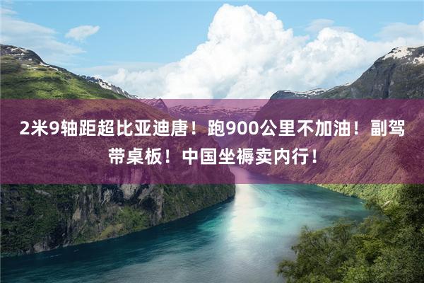 2米9轴距超比亚迪唐！跑900公里不加油！副驾带桌板！中国坐褥卖内行！