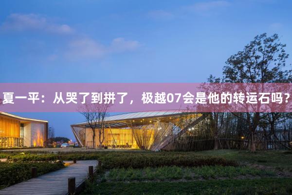 夏一平：从哭了到拼了，极越07会是他的转运石吗？
