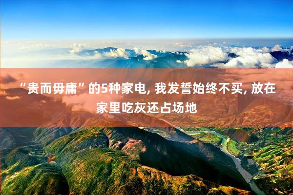 “贵而毋庸”的5种家电, 我发誓始终不买, 放在家里吃灰还占场地