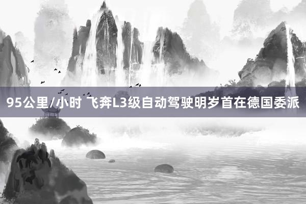 95公里/小时 飞奔L3级自动驾驶明岁首在德国委派