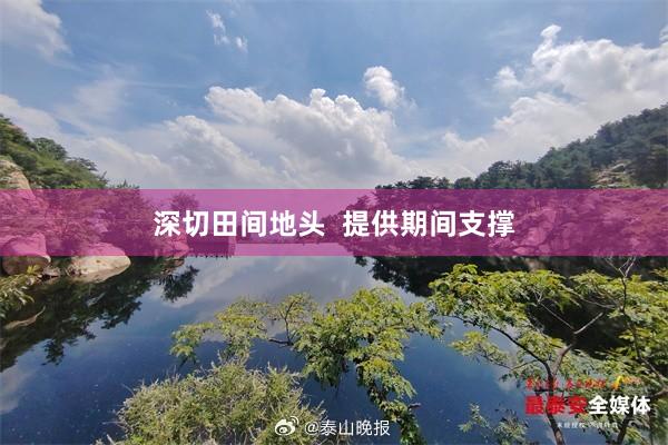 深切田间地头  提供期间支撑