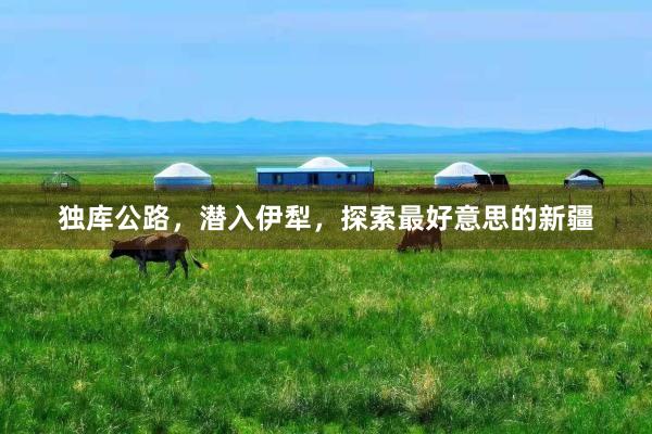 独库公路，潜入伊犁，探索最好意思的新疆