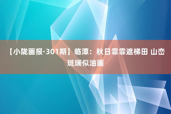 【小陇画报·301期】临潭：秋日霏霏遮梯田 山峦斑斓似油画