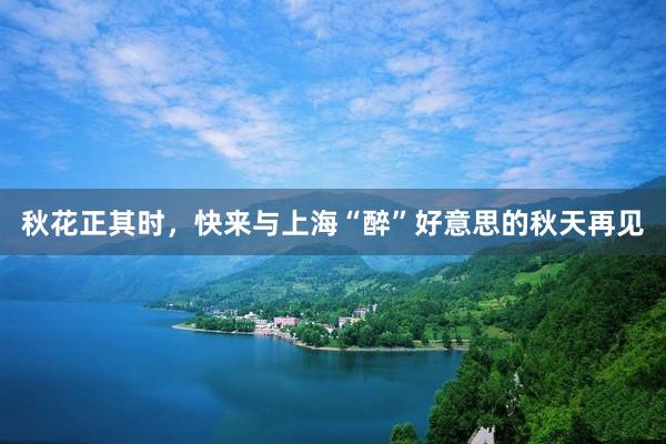 秋花正其时，快来与上海“醉”好意思的秋天再见
